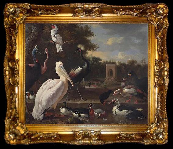framed  unknow artist A Pelican and other exotic birds in a park, ta009-2
